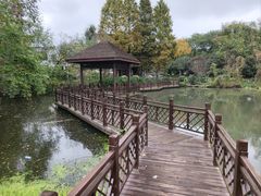 -石塘人家