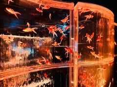 -三越百货(三越银座店)