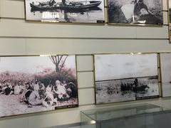 -白洋淀景区