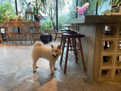 -自由生长植物工作室(深港花卉中心店)