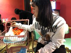 -猫色咖啡·猫咖