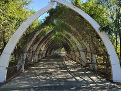 -天津东丽湖风景区