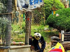 -大连森林动物园