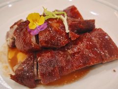 -椿记烧鹅(叠彩店)