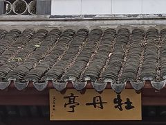 -中山公园