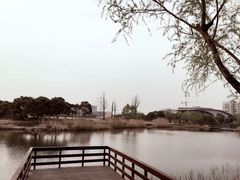 -新江湾城公园