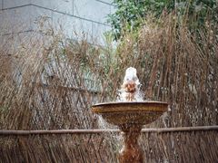 -潮一不贰·法式甜品·生日蛋糕·西式简餐(外滩店)