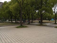 -新江湾城公园