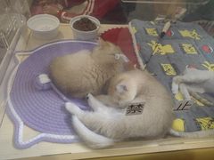 -丽达购物中心(崂山店)