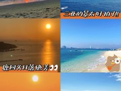 -亚龙湾热带天堂森林公园