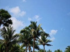 -三亚湾海居铂尔曼度假酒店