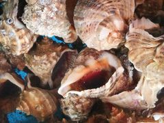 -张会海鲜饭店(东戴河店)