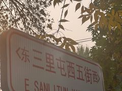 -三里屯东五街银杏大道