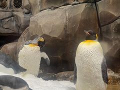 -香港海洋公园
