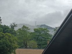 -爱帝宫月子中心(罗湖别墅院)