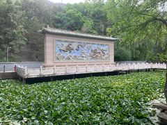 -五泉山公园