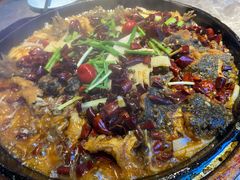 -老板恋上鱼(恒隆广场店)