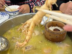 -朴小妹人参鸡汤火锅(长白山万达店)