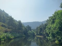 -桃花岭景区