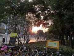 -通透堂中医·精准推拿(旗舰店)