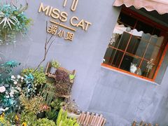 -IFIF 如果花園(宽厚里店)