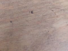 -华龙特色大骨鸡农家菜馆