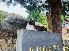 -九华山风景区