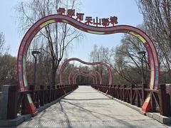 -伊犁河景区