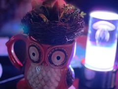 -MOSSO音乐酒吧·live house(南京旗舰店)