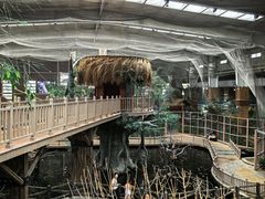 -南宫五洲植物乐园