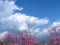 -老英格兰庄园