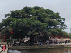 -云水谣景区