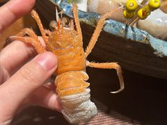-一本料理(西溪天街店)