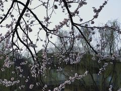 -西安市长乐公园