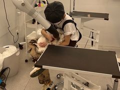 -comecome来吧宠物(奥克斯中心店)