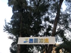 -望海观澜海景音乐餐吧(帆船基地店)