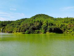 -广州白江湖森林公园