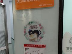 -纳吉亚猫专科动物医院博雅分院