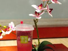 霸气酸奶杨梅-奈雪的茶(花城汇中区PRO店)