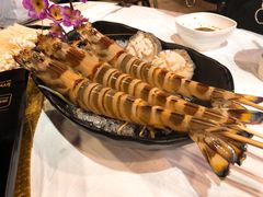 -鲜入围煮花胶鸡海鲜火锅