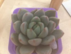 -Cocodemer女性健康·产后恢复(天一广场店)