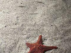 -长沙海底世界