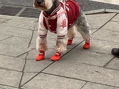 -牛吃草牛肉面牛杂面(桐城路店)