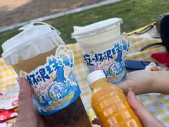 -野狸岛