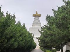 -凉州白塔寺景区