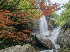 -大围山国家森林公园