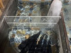 -缘福乡村铁锅炖民宿(八达岭店)