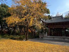 -汇龙潭