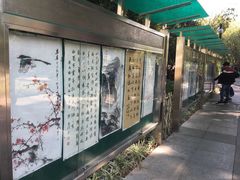 -晓港公园