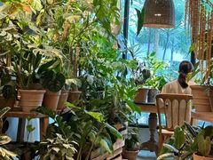 -自由生长植物工作室(深港花卉中心店)